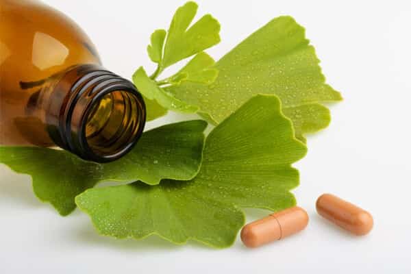 Gingko Biloba Positives For-Bodybuilders Image Mpd