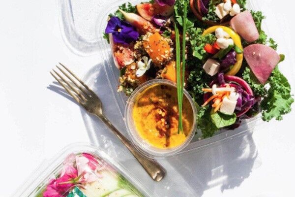 Plant-Based Food Delivery Can Be Beneficial Image - Mpd