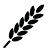 Nutrition Icon Mpd