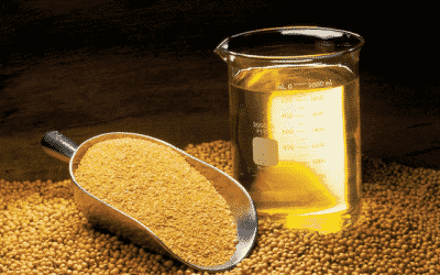 Is Soya The Bad Guy In The Fresh Meals Sent To Your Home?